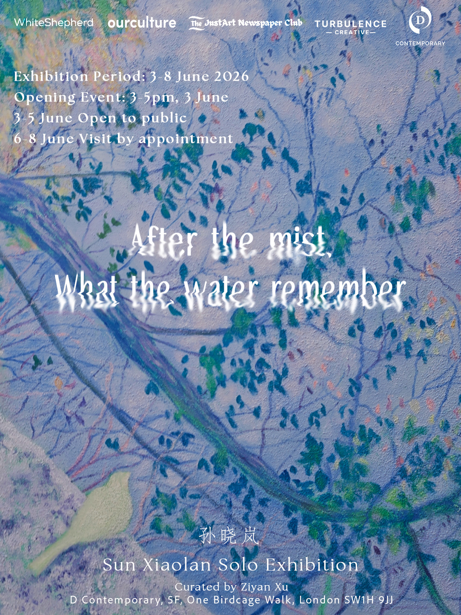 After the Mist, What the Water Remembers — Xiaolan Sun Solo Exhibition